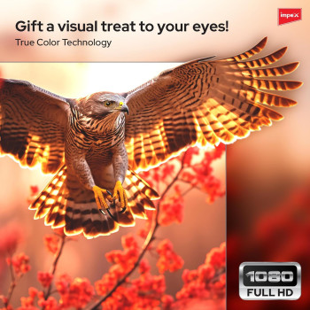 Impex 43 Inch Full HD Smart LED TV - GLORIA 43 SMART