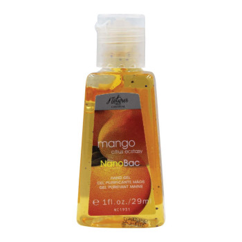 Nature'S Carnival Mango Citrus Ecstacy Nanobac Alcohol Hand Gel, 29Ml