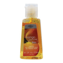 Nature'S Carnival Mango Citrus Ecstacy Nanobac Alcohol Hand Gel, 29Ml
