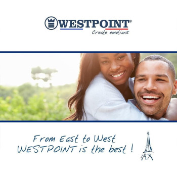 Westpoint 30000 BTU 2.5 Ton T3 Rotary Compressor Split Air Conditioner R410a Gas, White, WSN-30122LTYA, 1 Year Warranty