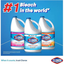 Clorox Liquid Bleach Floral Hours Prevents Bacteria Growth, Removes Stains, 8/1.89 Litre