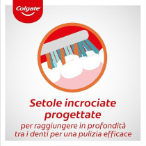 Colgate Medium Zig Zag Toothbrush, Bristles with Different Angulations, 1/12 Pieces