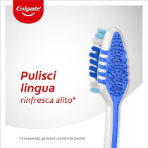Colgate Medium Zig Zag Toothbrush, Bristles with Different Angulations, 1/12 Pieces