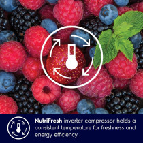 Electrolux 541L Gross Side By Side 2 Door Premium Refrigerator With Water Dispenser, Dark Grey, ESE5441A-AME with 10 Year Warranty on NutriFresh Inverter Compressor