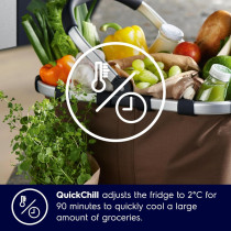 Electrolux 541L Gross Side By Side 2 Door Premium Refrigerator With Water Dispenser, Dark Grey, ESE5441A-AME with 10 Year Warranty on NutriFresh Inverter Compressor