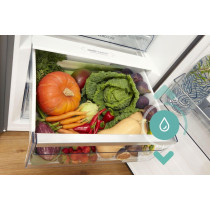 Gorenje Freestanding Upright Fridge, Gross Capacity 398 Liters, Even Temperature System, Humidity Control Function, Silver, R619DAXL6UK, 1 Year Warranty