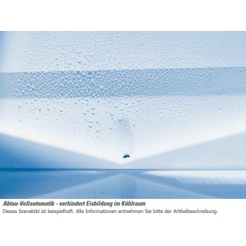 Gorenje, Built In Fridge Freezer, Gross Capacity 186 L/Net 180 L, Energy Efficient, Super Quiet, White, 1 Year Warranty