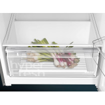 Siemens 485 Liters Top Freezer Refrigerator, German Engineering, Silver, KD55NNl20M, 1 Year Warranty