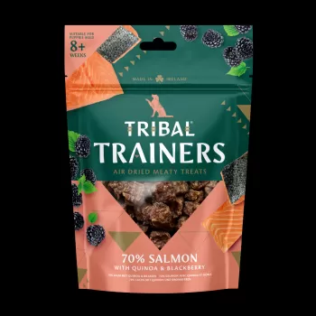 Tribal Trainers Salmon...