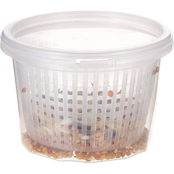 RIO Germination Set For Bird Food, 25g