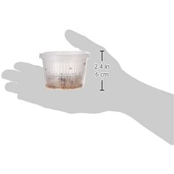 RIO Germination Set For Bird Food, 25g