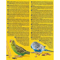 RIO Daily Food For Budgies Nutritious Seed, 1kg