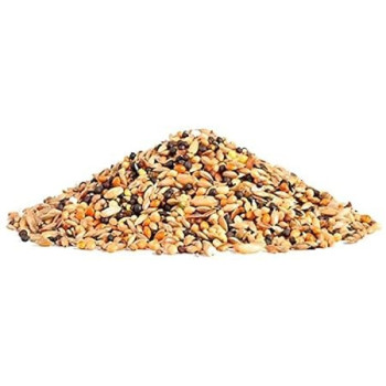 RIO Daily Food For Canaries Nutritious Seed, 500g
