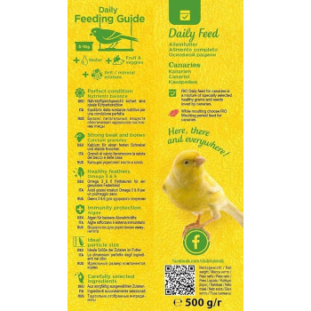 RIO Daily Food For Canaries Nutritious Seed, 500g