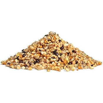 RIO Daily food for Exotic Birds Nutritious Seed, 500g