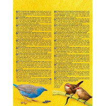 RIO Daily food for Exotic Birds Nutritious Seed, 500g