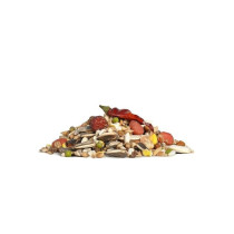 RIO Daily Food Nutritious Seed Blend For Parrots, 1kg