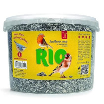RIO Sunflower Seeds For Bird Food Natural Dry, 2kg