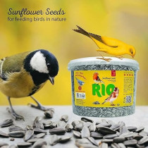 RIO Sunflower Seeds For Bird Food Natural Dry, 2kg
