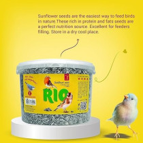 RIO Sunflower Seeds For Bird Food Natural Dry, 2kg