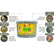 RIO Sunflower Seeds For Bird Food Natural Dry, 2kg