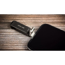 Green Lion 4 In 1 Pro Flash Drive 256GB, Lightning Micro Type C USB-A, Support: Windows, Mac, Android, iPhone, Material Metal, Black