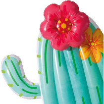 Intex Polyvinyl Chloride Cactus Float, Multi-Color, 1.38 Kilograms
