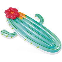 Intex Polyvinyl Chloride Cactus Float, Multi-Color, 1.38 Kilograms
