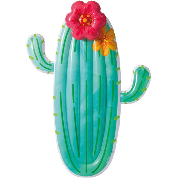 Intex Polyvinyl Chloride Cactus Float, Multi-Color, 1.38 Kilograms