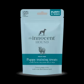 The Innocent Hound Puppy...