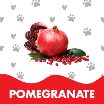 Doctor Pet Pomegranate Fragrance Mist Cologne for Cats and Dogs 400 ml
