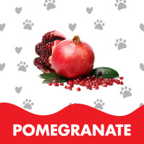 Doctor Pet Baby Powder Fragrance Mist Cologne for Cats and Dogs 400 ml