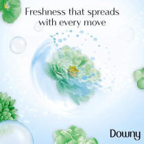 Downy Concentrate Fabric Softener, Dream Garden Scent, Long Lasting Freshness, Fabric And Wrinkle Protector, Pack Of 2 Plus 1 x 1 Liter