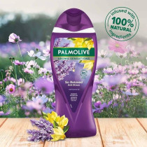 Palmolive Shower Gel Aroma Sensations So Relaxed 250ml, 2 Pack, Purple