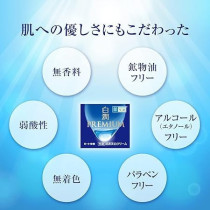 Rohto Pharmaceutical Skin Lab Premium Medicinal Penetration Whitening Cream, 50G