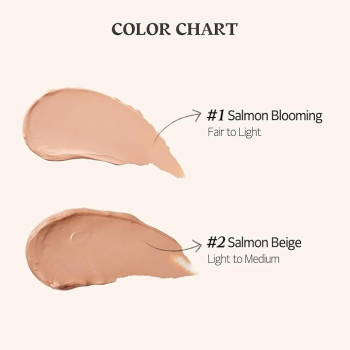 Skinfood Salmon Dark Circle Concealer Cream, 2, Salmon Beige, 10 G