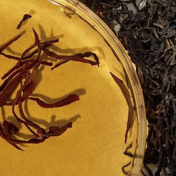 Kaine Kombu Balancing Ampoule Toner For Skin, 150 Ml