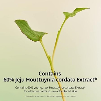 Goodal Houttuynia Cordata Calming Moisture Cream, 75 ml