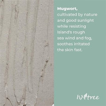 Isntree Real Mugwort Clay Beauty Face Mask For Rough Skin, 100 ml