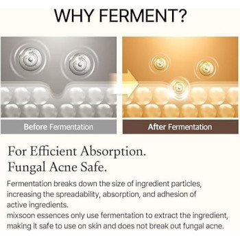 Mixsoon Bean Essence Natural Fermented Soybean Serum For Moisturization And Skin Nourishment Cruelty Free, 50 ml