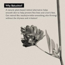 Haruharu Wonder Black Rice Bakuchiol Retinol Alternative, Hydrating Eye Cream, 20 ml