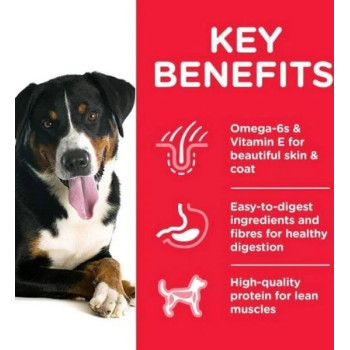 Hill's Science Plan Medium Adult Dog Food, 14kg