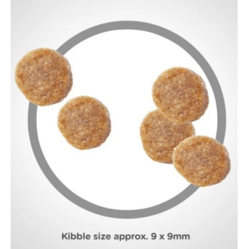 Hill's Science Plan Sterilised Young Adult Cat Food with Chicken, 10kg