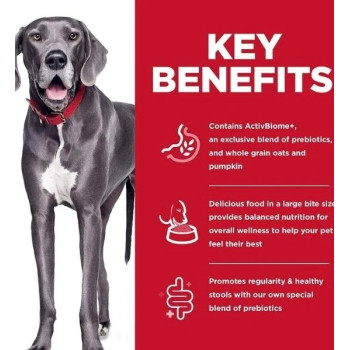 Hill's Science Plan Perfect Digestion Chicken And Brown Rice Large Breed Adult Dog Food, 14kg