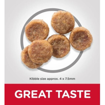 Hill's Science Plan Small And Mini Adult Chicken Dry Dog Food, 1.5kg