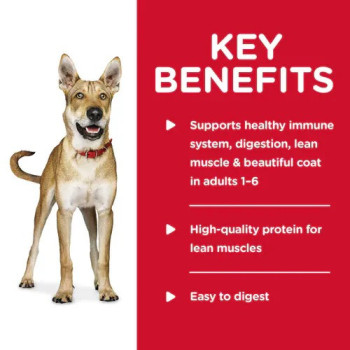 Hill's Science Plan Adult with Turkey Wet Dog Food, 10 pcs x 370g Each