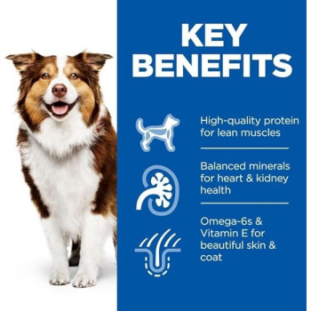 Hill's Science Plan Mature Adult 7+ With Chicken Wet Dog Food, 10 pack , 370g Each