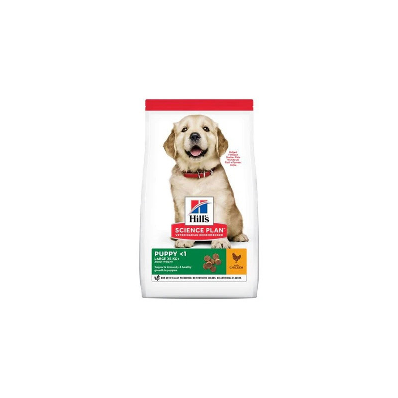 Hill's Science Plan Large Breed Puppy Food With Chicken, 2.5kg