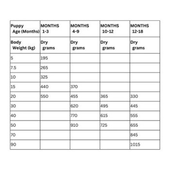 Hill's Science Plan Large Breed Puppy Food With Chicken, 2.5kg