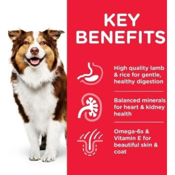 Hill's Science Plan Medium Mature Adult 7+ Dog Food With Chicken, 2.5kg